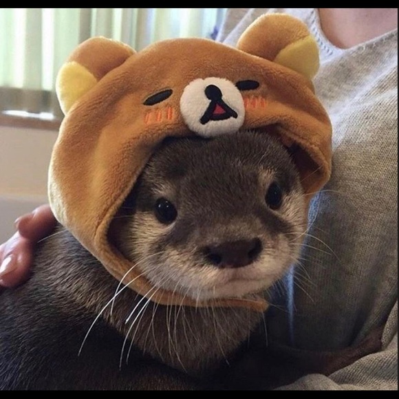 TRADE?? - Picture 2 of 2